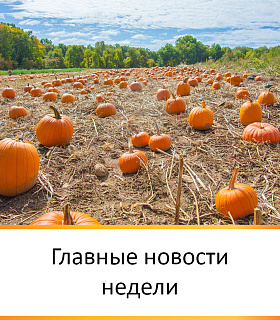 ГЛАВНЫЕ НОВОСТИ НЕДЕЛИ